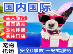 长沙黄花空运公司国际宠物托运 【国